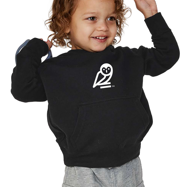 Independent Trading Co. Toddler Special Blend Hooded Raglan Sweatshirt