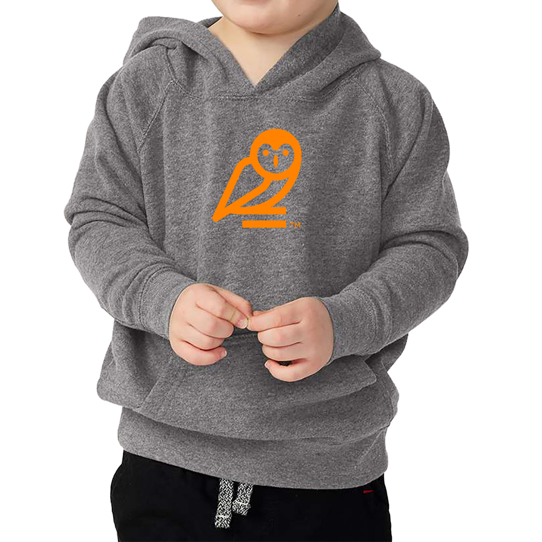 Independent Trading Co. Toddler Special Blend Hooded Raglan Sweatshirt